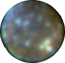 Callisto